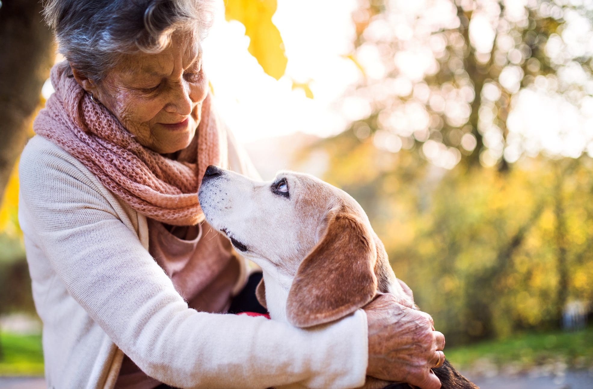 An elderly woman with dog in autumn nature.