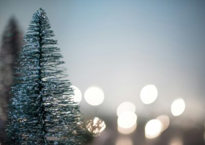 How Do You Make the Holidays Meaningful When Caring for Someone with Memory Loss?