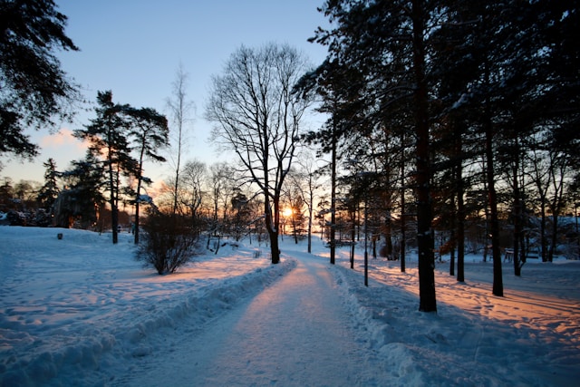 Two-generation family celebrating Christmas together